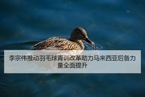 李宗伟推动羽毛球青训改革助力马来西亚后备力量全面提升